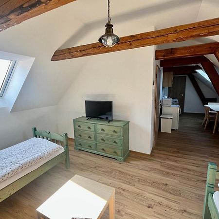 Apartmany Statek Bezdedice Hostomice 外观 照片