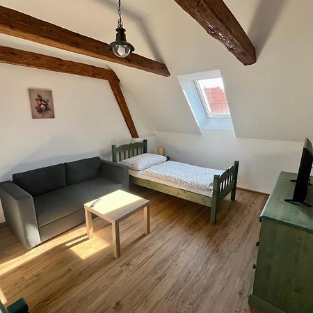 Apartmany Statek Bezdedice Hostomice 外观 照片