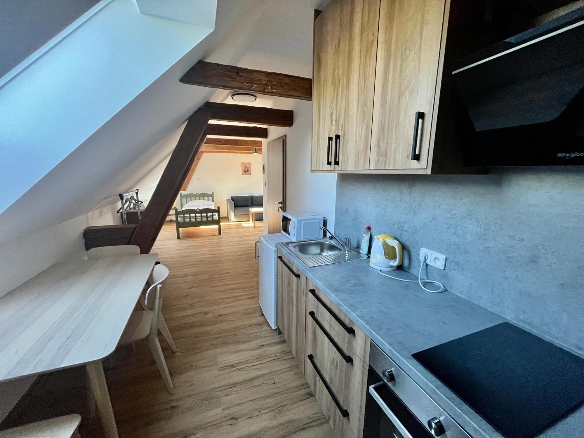 Apartmany Statek Bezdedice Hostomice 外观 照片